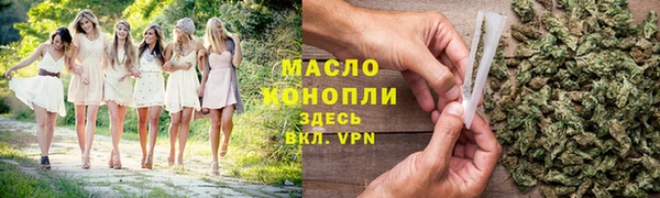 индика Армянск