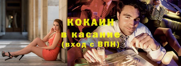 индика Армянск