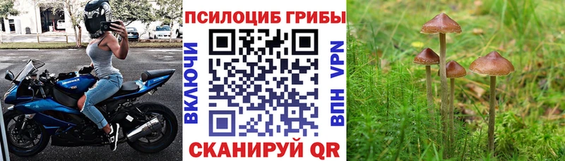Галлюциногенные грибы мухоморы Колпашево